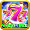 aaron finch Turbo v2.6.0