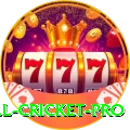 all cricket Master - Casino & Slots