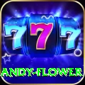 andy flower Master v4.6.6