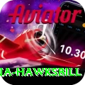 antigua hawksbill Pro v1.9.4