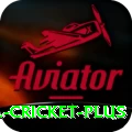 bbl cricket Ultimate PK v1.5.8