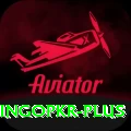 bingopkr Gold Edition v2.7.8