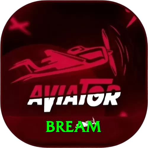 bream Premium Edition v3.6.3 - 2