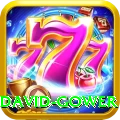 david gower Apps (Tools & Injectors) VIP v1.9.9