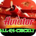 fastest ball in cricket VIP v4.2.2