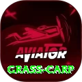 grass carp Max v4.6.3