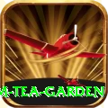 hile ilam tea garden Plus Edition v3.7.2