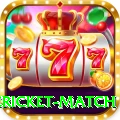 international cricket match Ultimate v4.3.2