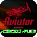 international cricket Slot Machine Turbo