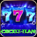 ireland cricket team Gold Pro v2.7.0