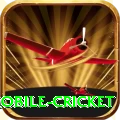 mobile cricket Master Pro v4.6.8