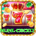 online cricket Deluxe Edition v1.6.0