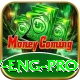 pak v eng VIP v4.5.0