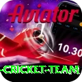 pakistan women cricket team Apps (Tools & Injectors) Max v5.1.3