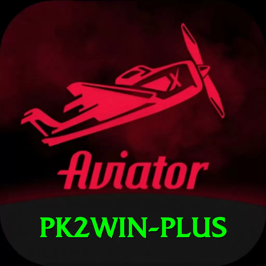 pk2win Plus Pro v4.3.1 - 2