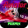 pkspin Plus Pro vv4.7.7