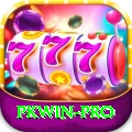 pkwin Plus Pro v2.5.4