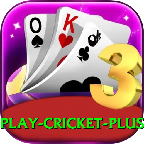play cricket Pakistan King v5.4.2 - 2