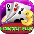 r cricket Deluxe New