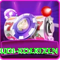 rudi koertzen Pro Edition v3.7.5