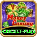 sports cricket Deluxe PK v2.2.4