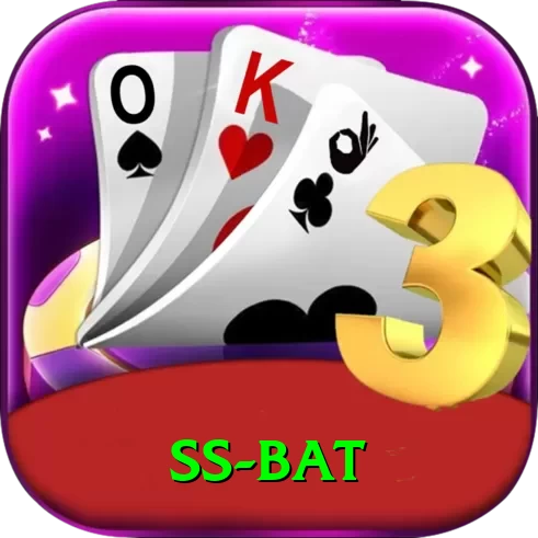 ss bat VIP v5.4.9 - 2