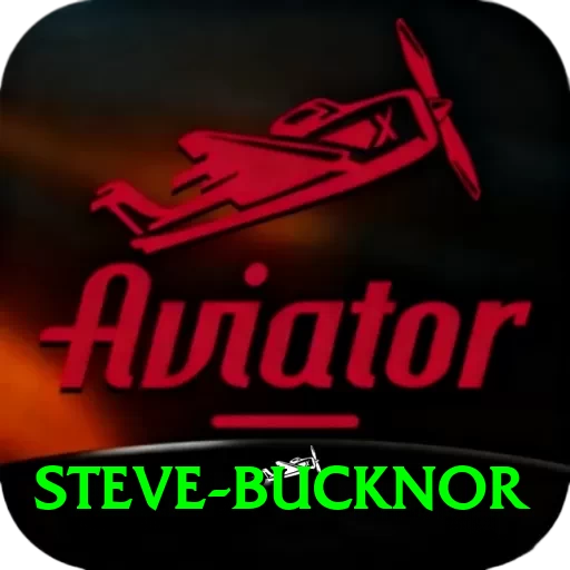 steve bucknor Master Pro v2.4.1 - 2
