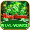 steve waugh Plus v1.9.8
