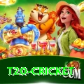 t20 cricket Pro Edition v2.9.3