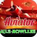 wicket hauls bowlers Deluxe Edition v5.2.6