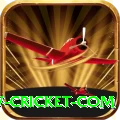 www cricket com Deluxe v5.9.6